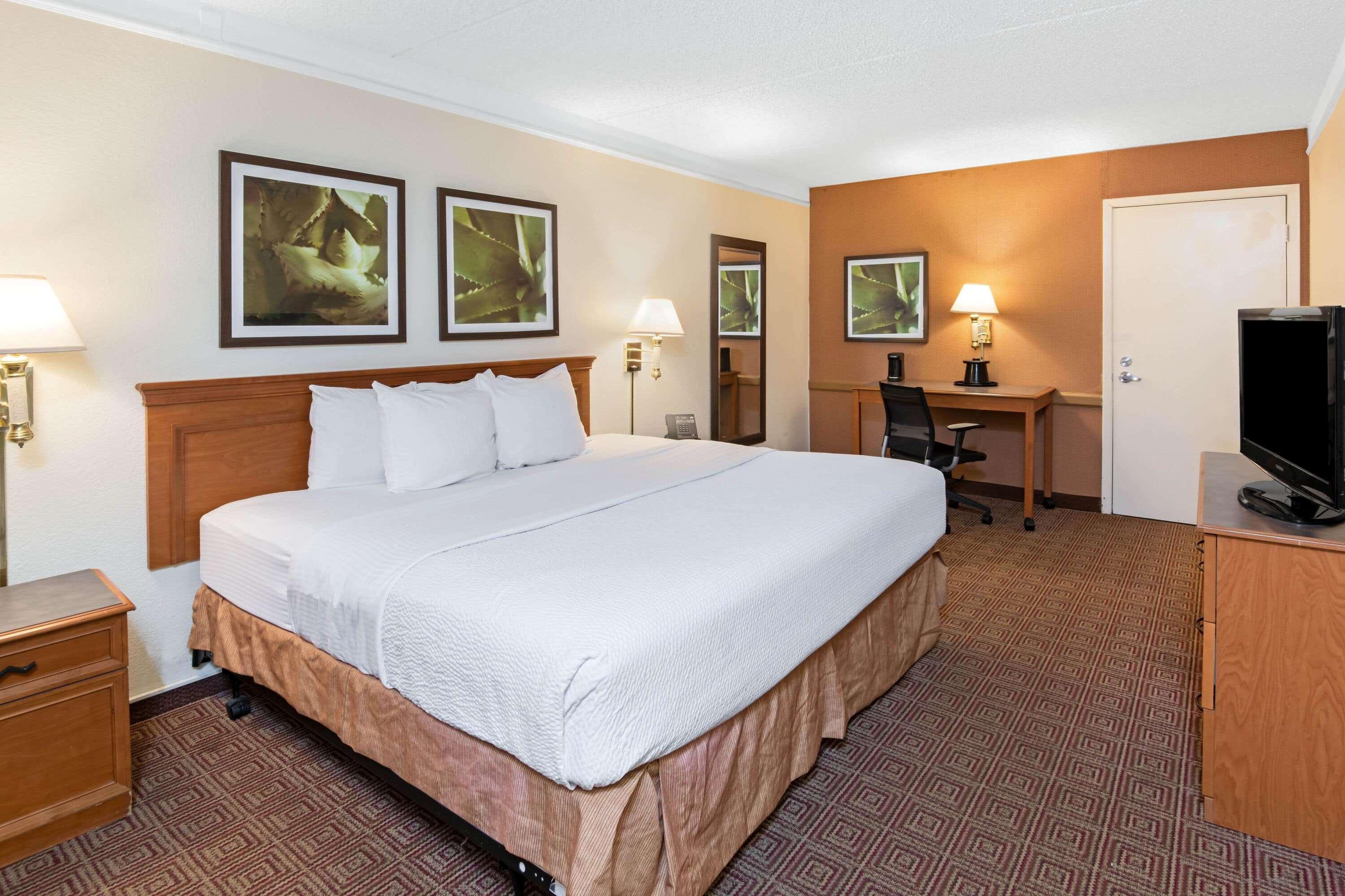 La Quinta Inn By Wyndham San Antonio Lackland Экстерьер фото